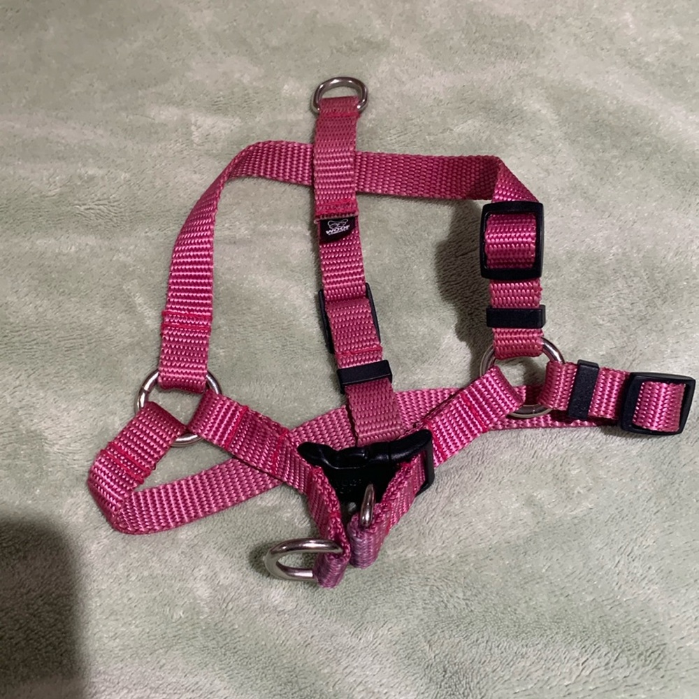 Woof concept harness